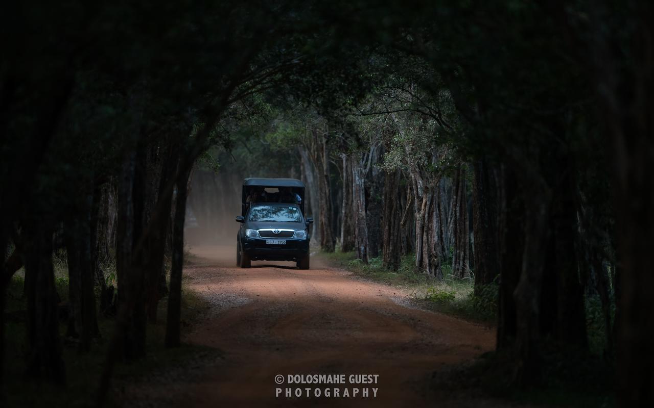 Wilpattu Dolosmahe エクステリア 写真